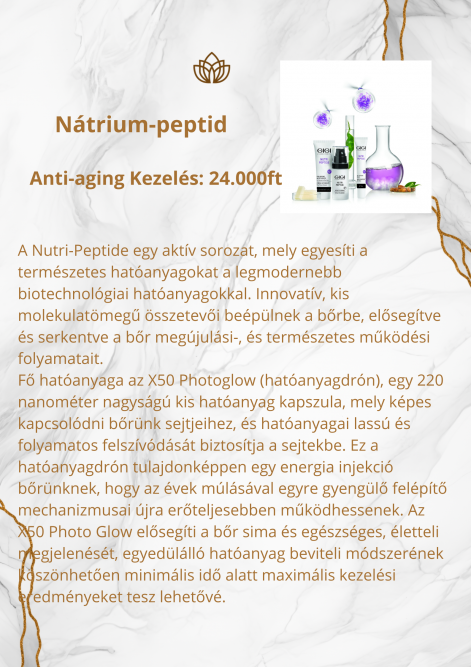 arlista.zip_-_8.png